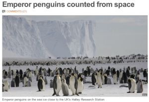 Emperor penguins counted from space
